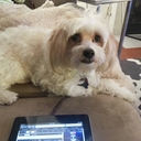 bailey kim - @baileyrentz - Twitter