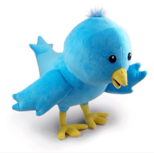 Follow me to gain followers! I will help you gain followers. U can also get shoutouts. #TeamFollowBack