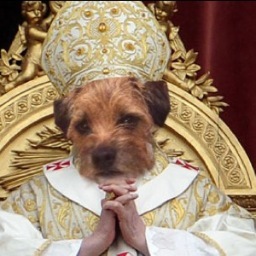 Representative of the Holy Terrier on Earth....Kibble be upon him....*makes the sign of the nap*