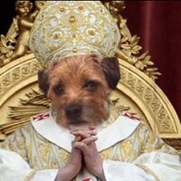 Pontifex Terrier (@pontifexterrier) 's Twitter Profile Photo