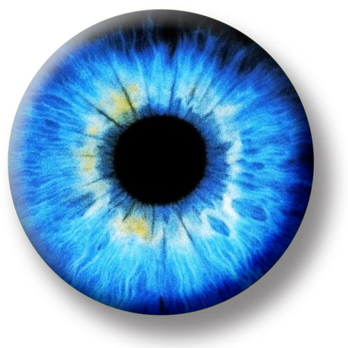 Delighthuub's profile picture. 