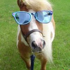 MouBuezas's profile picture. vivo en o grove soy  un kayaquista  en el clu de piragüismo breogan do grove