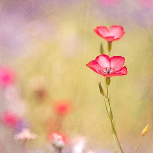 kym7584's profile picture. 