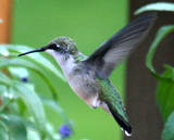 AMG_SHUTTERBUG's profile picture. 