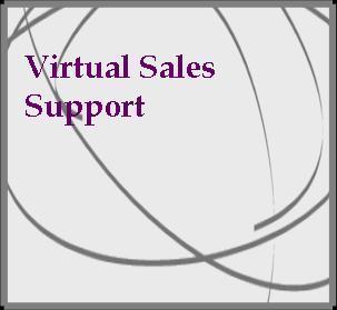 Virtual Sales Support can help you to increase new business opportunities for your company. We offer a number of different services to support your business!