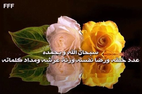 عذراً لكل الرجال لا احد يشبه ابي