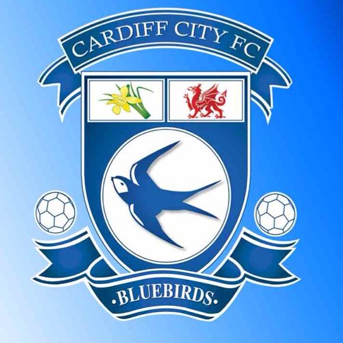 Very big Cardiff City fan! Got a season ticket, never missed a game!