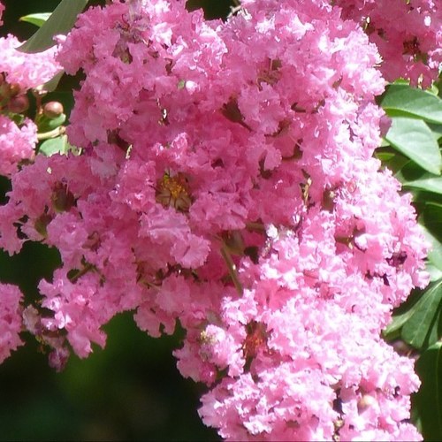 paloma_psr's profile picture. Seguidora de la innovación social, los emprendedores sociales, partidaria del gobierno abierto y de las redes sociales