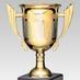 Crown Trophy Raleigh (@crowntrophyral) Twitter profile photo