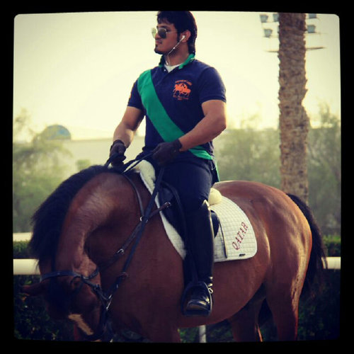 show jumping rider.كل يوم يمر دون ابتسامه هو يوم قد خسرته