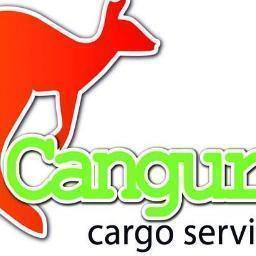 Envíos aéreos y marítimos desde Miami a toda Venezuela con rapidez, garantía y buen servicio. Tarifas desde 25 USD.
