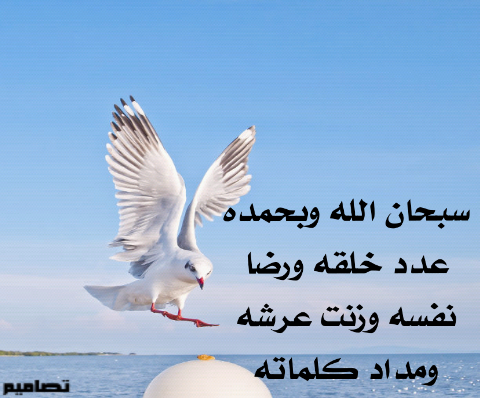 ⏪⏪لأ تنشد عن احوالي↔ ربي يعلم بحالي ⏩⏩