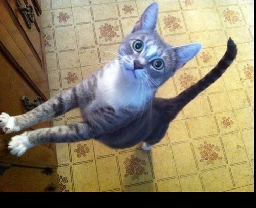 AROD19's profile picture. Be in awe and wonder at the magnificence of you!