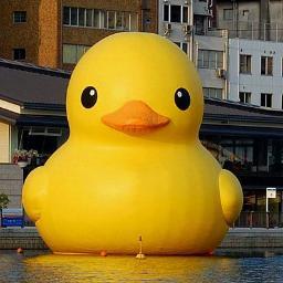 quack! @dulcemaria