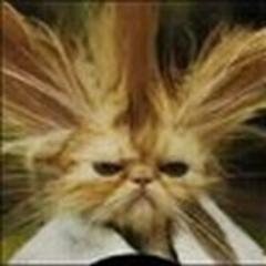 Torpedojoe57's profile picture. Life long Democrat,& Yankee fan, Former Radio News Director/Reporter Political Blogger