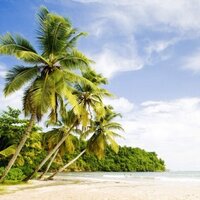 #رتويت_الأحساء_ (@al_ahsa2013) 's Twitter Profile