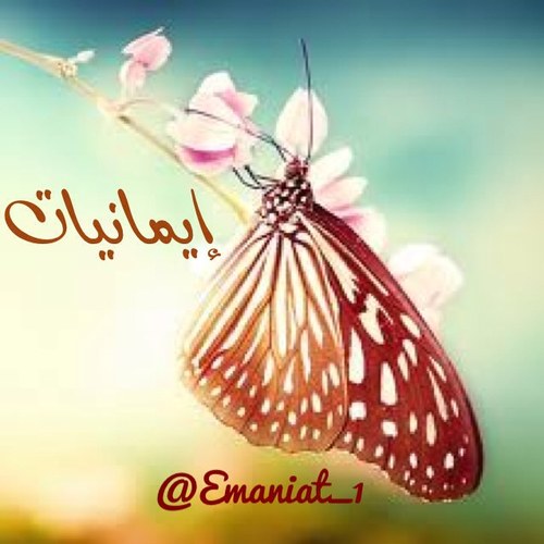 صفحة للدعوة إلى الله تعالى بالتي هي أحسن على نهج أهل السنة والجماعة .. قال رسول الله صلى الله عليه وسلم .. : (( بلغوا عني ولو آية )) .. رواه البخاري ..