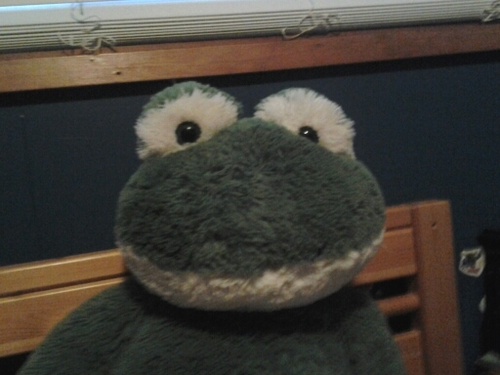 monkeyman1550's profile picture. 