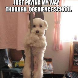 outofideas101's profile picture. 