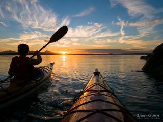 DavidDigger24's profile picture. 