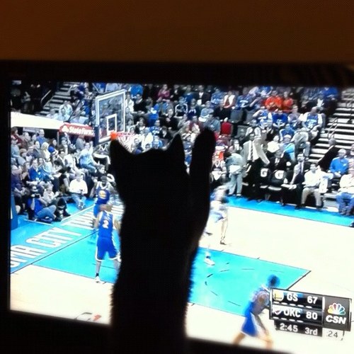 Spinmove718's profile picture. やっぱバスケいいよね〜