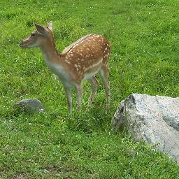 Christine Maidment (she/her)