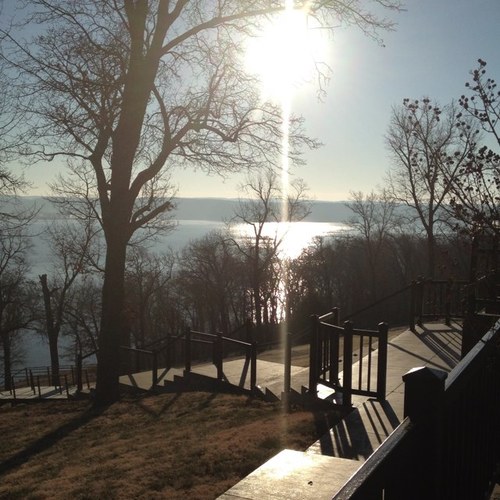 KenneyAdams's profile picture. 