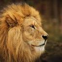 محمد (@0987766544) Twitter