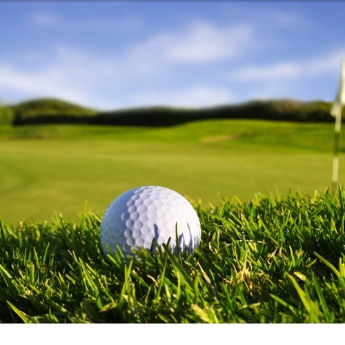 A_Golfers_Life's profile picture. Hustle Loyalty Respect