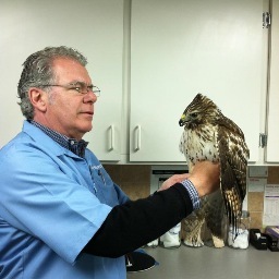 Dr. J. Peter Hill has cared for pets as a general practitioner for more than two decades.  Dr. Hill is a staff veterinarian at the Newport Aquarium where he tre