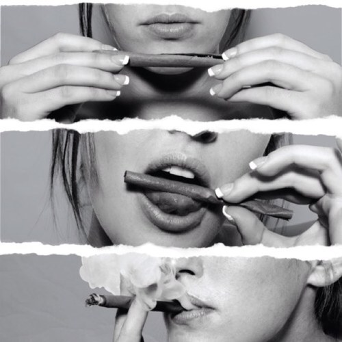 Get higher. #trippynation
