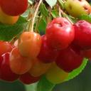 Randy Mains - @RandyMains - Twitter