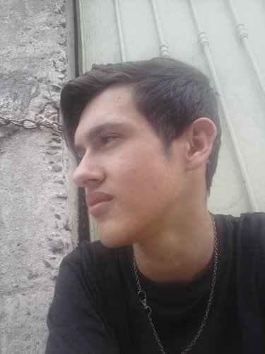Boy Directioner,17 years ,love music and love to have me fun this is me.. my best friend forever is lari and thay this my GRIFFYNDOR