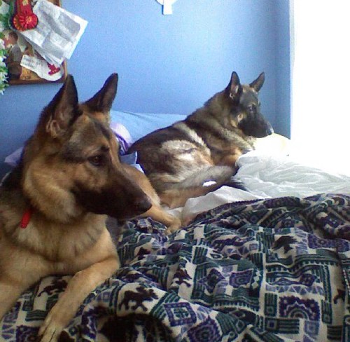 eamanganaro's profile picture. 