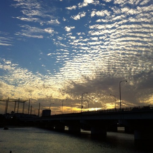 berukan's profile picture. 