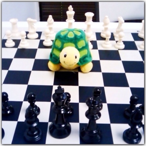 TourneyBot's profile picture. The Panda Chess Academy created this simple program to help our members know who is playing in our upcoming tournaments.