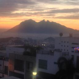 asraeloo's profile picture. 