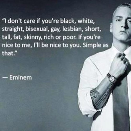 ::They call me Slim Shady::My life, my choices::My mistakes, my lessons::It's not your fucking business!!::