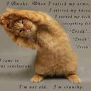 Rose Margaret Fives - @RoseMargaretFiv - Twitter