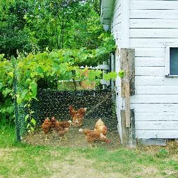 Fishinfoplus's profile picture. A soon to be divorced mother of 5 beautiful children, with too many interests to list. Love me or hate me, the choice is yours.