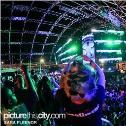 risingpandaking's profile picture. 