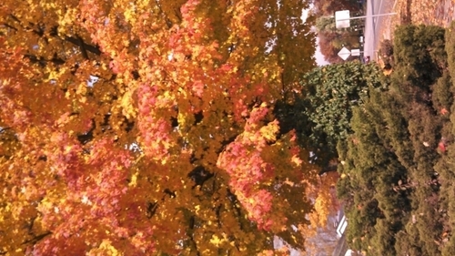 rmbmctj's profile picture. 