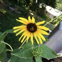 Rita Foust - @RitaFoust1 - Twitter