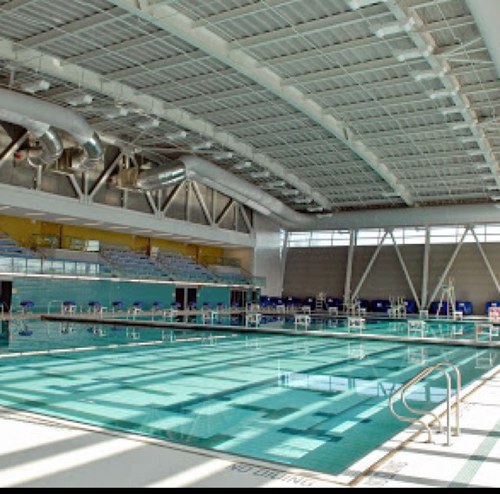The pros and cons of working at a pool. You know you want to follow !