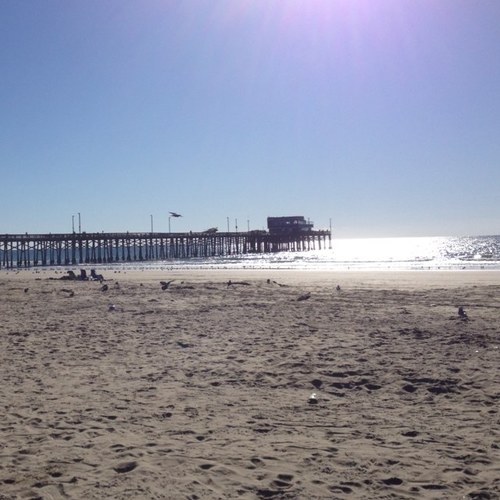 DARM1ENT0's profile picture. Performance problem solver. Always learning. Always growing....