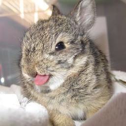 t777fff777t's profile picture. 