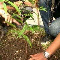 Himas USU (@himas_usu) 's Twitter Profile