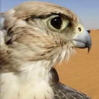    G.H.M (@2013jaber) 's Twitter Profile