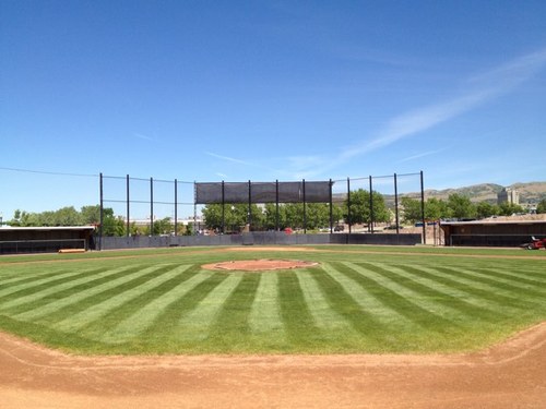 RakeCityBaseball Profile