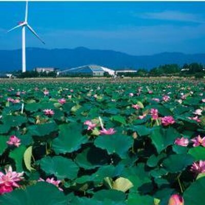 狩野栄子
